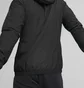 Ветровка мужская Puma Teamrise All Weather Black 657396-04
