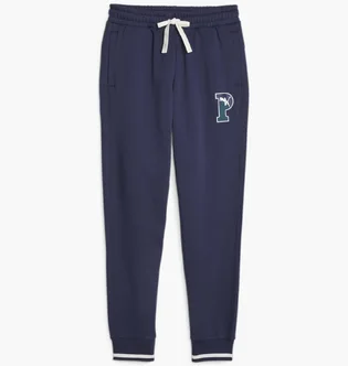Штаны мужские Puma Squad Sweatpants Blue 676019-06