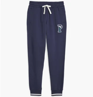 Штаны мужские Puma Squad Sweatpants Blue 676019-06