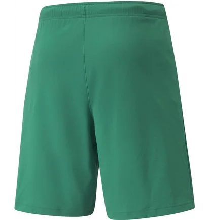 Шорты мужские Puma Shorts Teamrise Short Green 704942-05