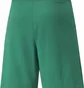Шорты мужские Puma Shorts Teamrise Short Green 704942-05