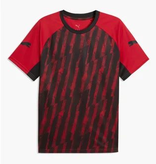 Футболка чоловіча Puma Individualliga Graphic Jersey Red/Black 660578-01