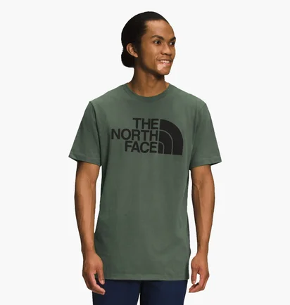 Футболка мужская The North Face T-Shirt Khaki Green NF0A812HBQW1