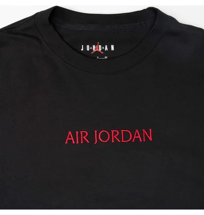 Футболка мужская Air Jordan Embroidered Logo Black Do6098-010