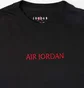 Футболка мужская Air Jordan Embroidered Logo Black Do6098-010