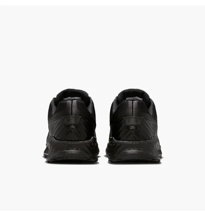 Кроссовки мужские Nike Air Max Bia Black IF2624-003