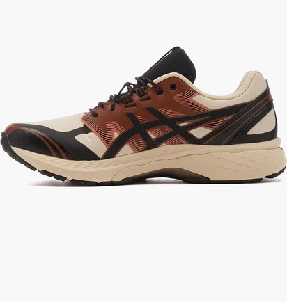 Кроссовки мужские Asics Gel-Terrain Brown 1203A342-250