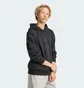 Худі чоловіче Adidas All Szn Fleece Graphic Sportswear Black JJ3665