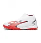 Сороконожки мужские Puma Turfy Ultra Match+ Ll Tt White 107513-01