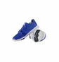 Кросівки чоловічі Reebok Flexile Blue BS8046