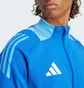 Олимпийка мужская Adidas Tiro 24 Competition Training Blue IP1876