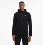 Спортивний костюм чоловічий Puma Evostripe Black 585812-01__585814-01