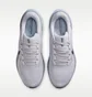 Кросівки чоловічі Nike Air Zoom Pegasus 41 Beige FD2722-015