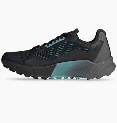 Кроссовки женские Adidas Terrex Agravic Flow 2.0 Gore-Tex Trail Running Shoes Black H03382