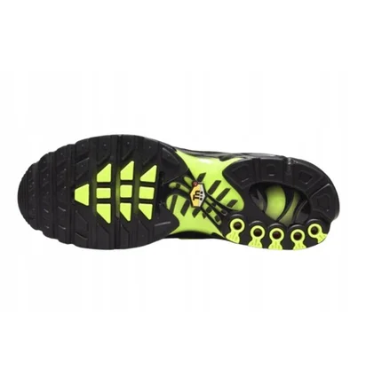 Кроссовки детские Nike Air Max Black DN9255-001