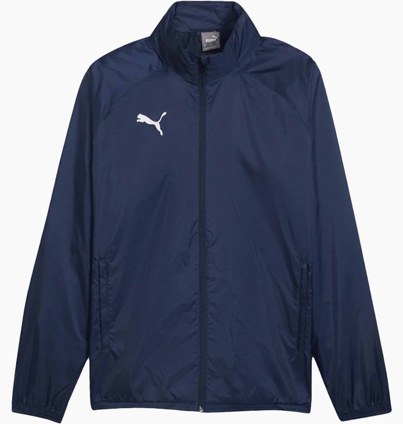 ᐉ Олимпийка мужская Puma Teamgoal Allwetterjacke F06 Blue 659038