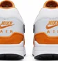 Кроссовки мужские Nike Air Max 1 Grey/Brown FN6952-101