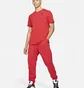 Штаны мужские Air Jordan Essentials Red DA9820-687