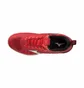 Кроссовки мужские Mizuno Wave Luminous Red VIGA182062