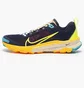 Кроссовки женские Nike React Terra Kiger 9 Blue DR2694-400