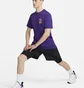 Футболка мужская Nike Dri-Fit Training T-Shirt Violet FD0138-547