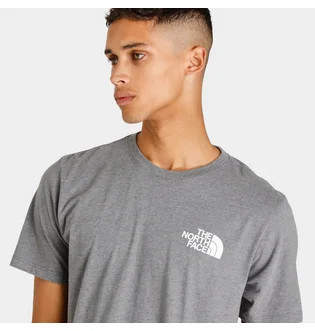 Футболка мужская The North Face Box Nse Tee Grey NF0A4763GVD