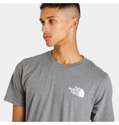 Футболка мужская The North Face Box Nse Tee Grey NF0A4763GVD