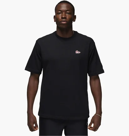 Футболка мужская Air Jordan T-Shirt Brand Black FN5982-010