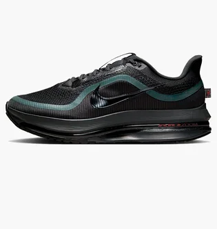 Кросівки чоловічі Nike Pegasus Premium Black HQ2592-011