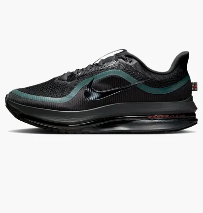 Кроссовки мужские Nike Pegasus Premium Black HQ2592-011