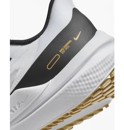 Кроссовки женские Nike Winflo 9 White Dd8686-104