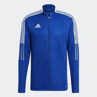 Куртка мужская Adidas Tiro21 Track Jacket Team Royal Blue Gm7320