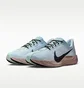 Кросівки чоловічі Nike Pegasus Plus Blue FQ7262-406