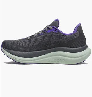 Кросівки жіночі Saucony Triumph 23 Gtx Grey S11025-14