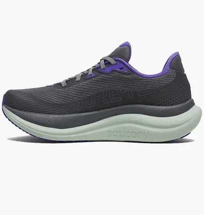 Кросівки жіночі Saucony Triumph 23 Gtx Grey S11025-14