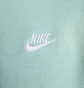 Толстовка чоловіча Nike Sportswear Club Fleece Turquoise BV2645-309