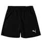 Шорты мужские Puma Rise Black 704942-04