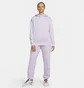 Худі жіноче Nike Sportswear Collection Essentials Grey DQ5097-530
