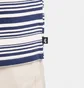 Футболка чоловіча Nike Sb Tee M90 Stripe Sp24 Grey FQ3711-410