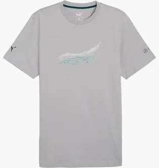 Футболка чоловіча Puma Mercedes-Amg Petronas Motorsport Grey 623759-02