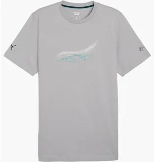 Футболка мужская Puma Mercedes-Amg Petronas Motorsport Grey 623759-02