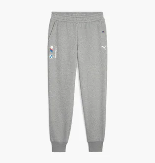 Штани чоловічі Puma Bmw M Rsport Ess Grey 621302-03