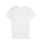 Футболка мужская Puma Evostripe Tee White 684611-02