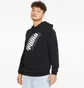 Худи мужское Puma Power Logo Black 847378-01