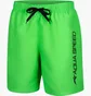 Шорты мужские Aqua Speed Owen Green 297-11