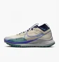 Кроссовки мужские Nike React Pegasus Trail 4 Gtx Beige Dj7926-100