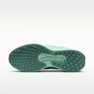 Кроссовки женские Nike Air Winflo 11 Turquoise FJ9510-305
