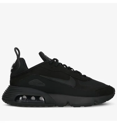 Кроссовки мужские Nike AIR MAX 2090 C/S Black DH7708-002