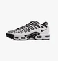 Кроссовки мужские Nike Air Max Plus Drift White/Grey FD4290-101