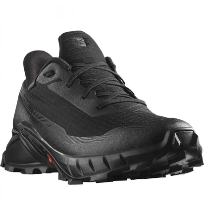 Кроссовки мужские Salomon Alphacross 5 Gtx Black L47307500